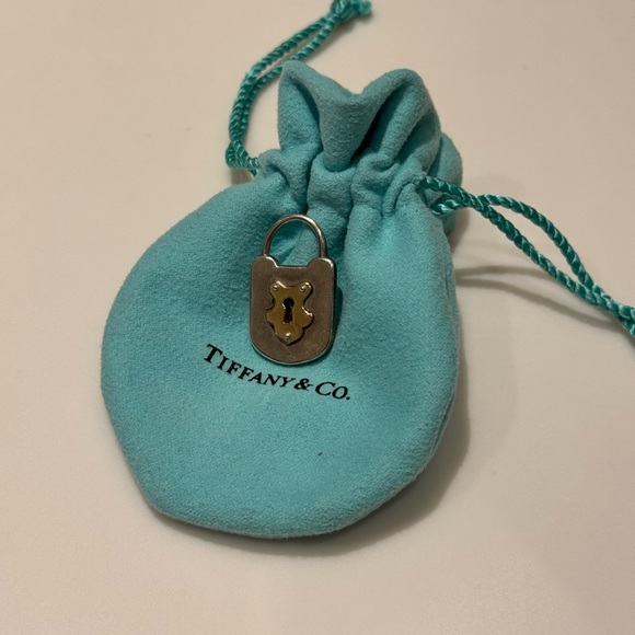 Tiffany & Co. Lock Charm - Silver & Gold - Picture 1 of 5